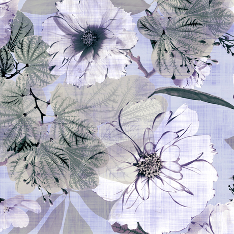 MINKY PRINTS             
